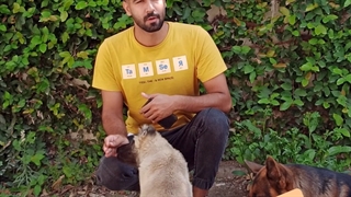 سگهای بدون ریزش مو