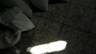 بازار فروش سیاه دانه تازه