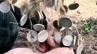 برکت که میگن یعنی این