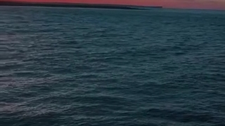 یکسالگی چنل قبلیم مبارک •-•