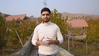 علف هرز زعفران