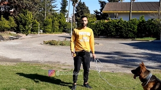 آموزش اوردن اشیا