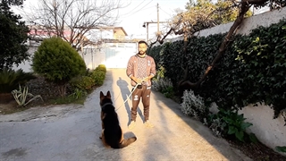 آموزش بپر به سگ