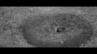 Double Walker 2021 trailer