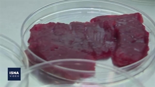 از تولید «گوشت مصنوعی» چه می‌دانید؟
