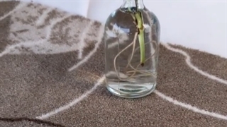 قیمت موکت هتلی با کیفیت عالی