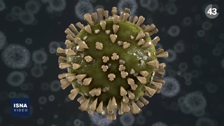 دلگرمی درمورد اُمیکرون؛ برای ارزیابی نهایی زود است