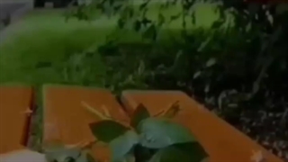 او از حال ما خبر دارد‌/قران