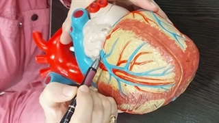 عملی قلب و عروق 10. پزشکی