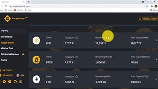 معرفی آپشن های مختلف صرافی برگر سواپ