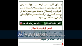 اموزش هرس_مشاوره ی واتساپ09138511997_سبزینه مارال