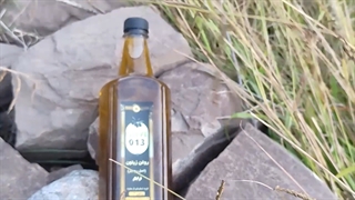 روغن زیتون اصل رودبار فرابکر - (فروشگاه زیتون 013)