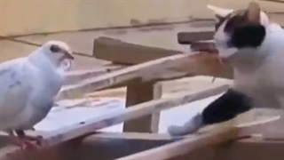 انتظار اینو نداشتم!!!