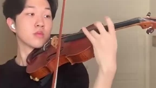 Arcade violin cover