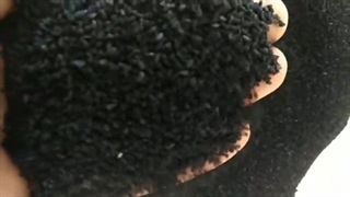 مرکز فروش سیاه دانه عمده