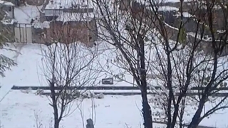بارش برف در روستای گوگجه قیا