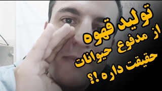 حقیقت درباره تولید قهوه از مدفوع حیوانات وحشی ؟!