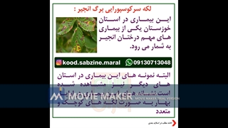 سه بیماری انجیر_مشاوره  یواتساپ09130713048_سبزینه مارال
