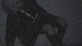 بعد از دیدن ویدیوی قبلی بیاید کپ