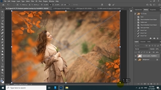 برگ های لایه باز ( برگ درخت پاییزی )