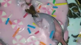 خوراکی کیوت / یکتا جون