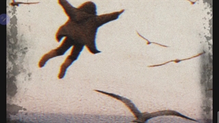 اموزش طراحی جلد با پیکس ارت(هفت سین)