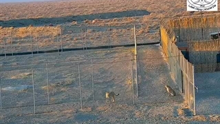 هفت دقیقه طلایی برای ایران