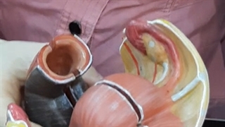 عملی تناسلی(زنانه-قسمت05). پزشکی