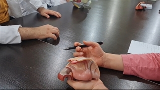 عملی تناسلی(زنانه-قسمت06). پزشکی