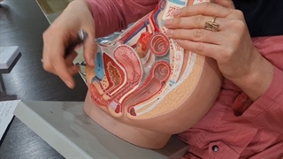 عملی تناسلی(زنانه-قسمت07). پزشکی