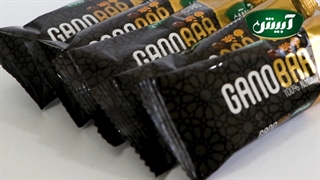 گانودرما بار