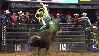 رکورد بزرگ سوار بزرگ بر روی گاو سنگین وحشی سال 2021