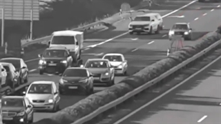 زندگی یک گذره