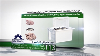 جعبه های صادراتی-ترنسفر  02133382004