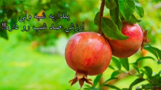 کلیپ شب یلدا... آهنگ شب یلدا...استوری برای شب یلدا