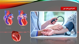 راهنمایی پروژه ترم اول نرم‌افزار PowerPoint با موضوع خون (رشته تجربی)