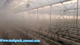 اجرای مه پاش گلخانه هیدروپونیک