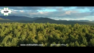 باغ گلی بسیار زیبا در نیویورک آمریکا