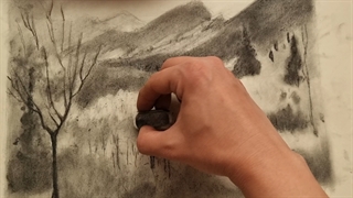 طبیعت زغالی/6