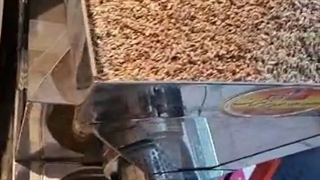 روغنگیری