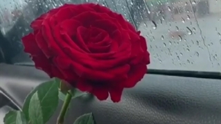 آهنگ عاشقانه /تکست جدید