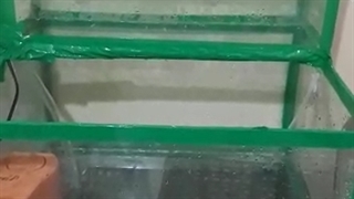 سیستم آبیاری هوشمند هیبروپونیک خانگی