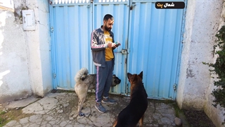 آموزش رایگان سگ باز کردن در
