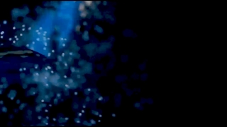 کاغذ دیواری ارزان | آلبوم کاغذ دیواری جدید جنرال | آرت دکو