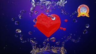 علی کرامتی و آموزش شکرگزاری