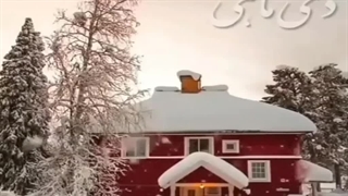 دی ماهی جان تولدت مبارک