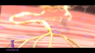 میکل آنژ زیبایی و تناسب اندام