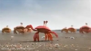 فیلم کوتاه مفهومی