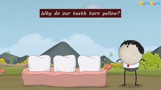 دکتر وحید دهقان : علت زرد شدن دندان ها