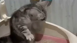 پیام ناشناس